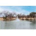 Cypress Terrace